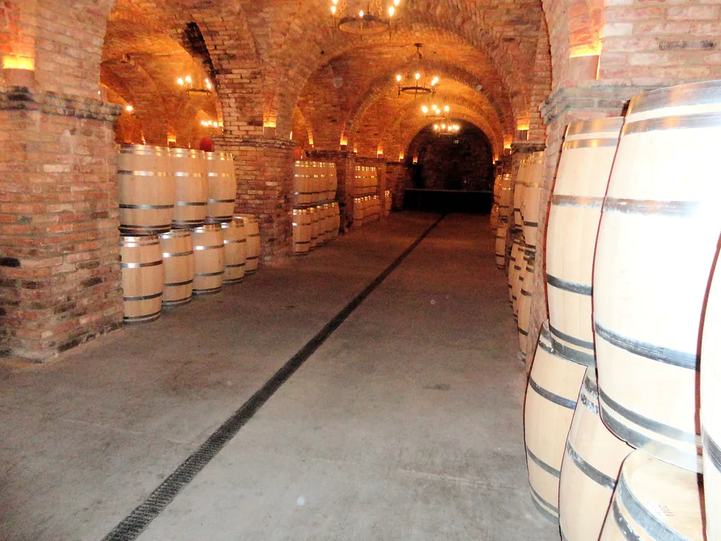 Bodega de guarda